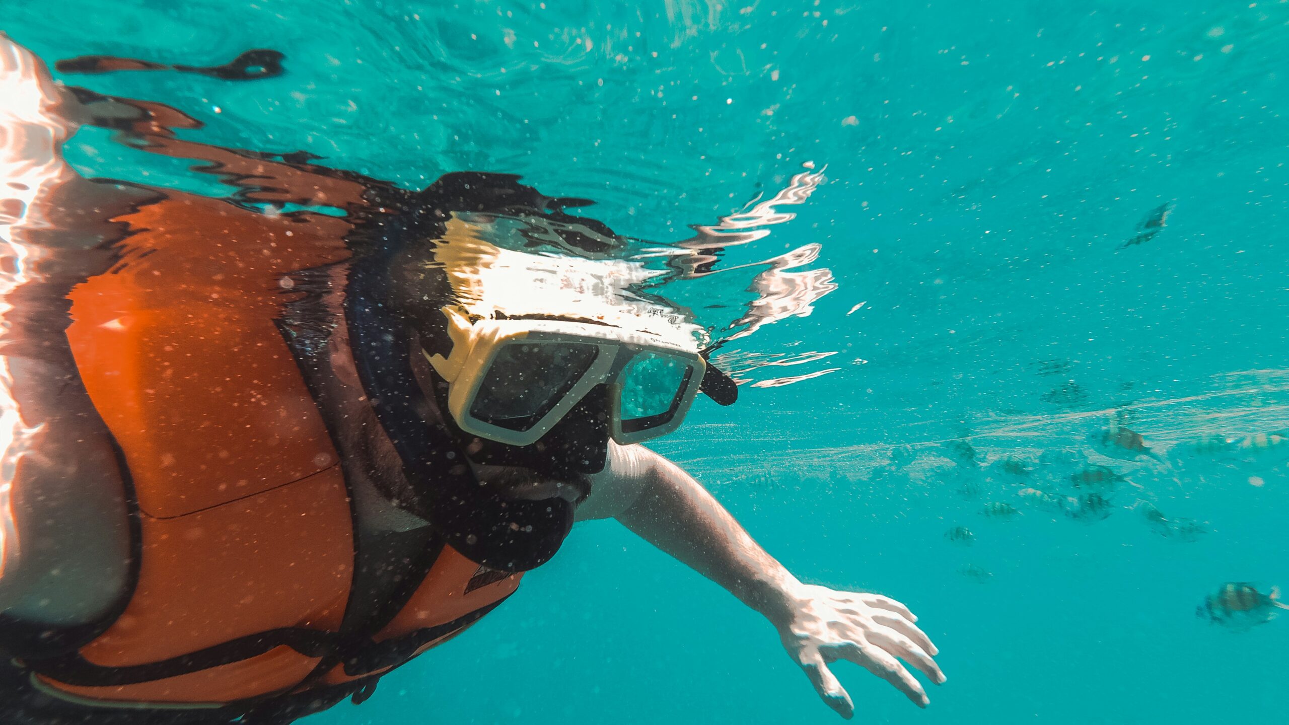 Best Snorkeling Vests 2024 - The Ultimate Review Guide! miltiadis-fragkidis-6xg76KY1ruk-unsplash